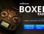 Radiomaster Boxer Radio